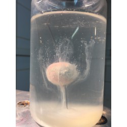 geltrak p16