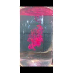booster flash color RS